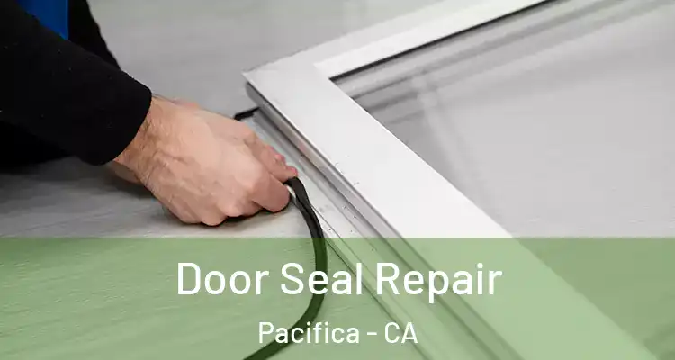  Door Seal Repair Pacifica - CA