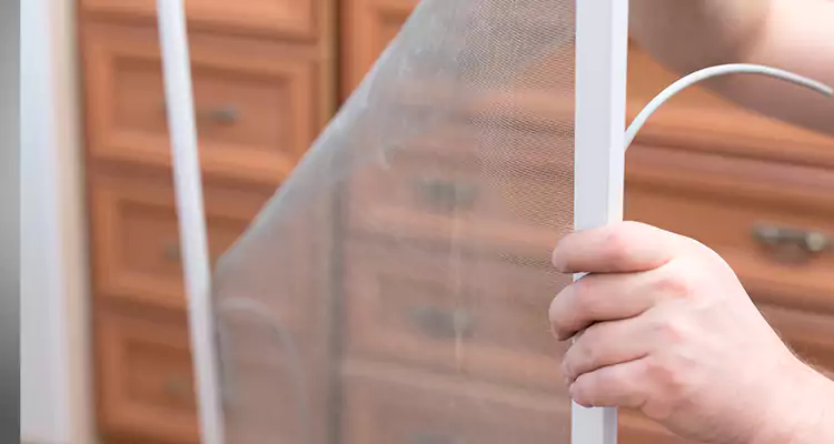 Privacy Mesh Screen Door Installation in Pacifica, CA