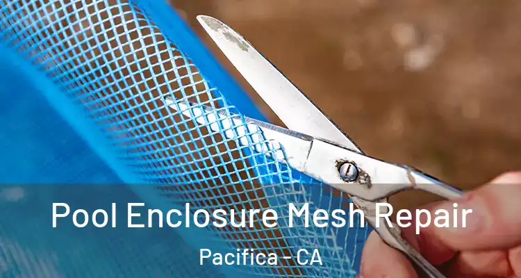  Pool Enclosure Mesh Repair Pacifica - CA