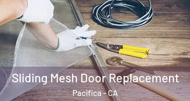  Sliding Mesh Door Replacement Pacifica - CA